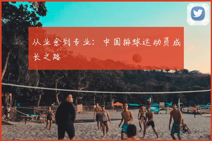 从业余到专业：中国排球运动员成长之路